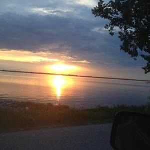 Meet your Posher, Terry